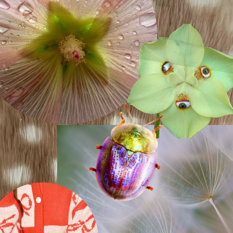 VexVision 🌸 March 2025